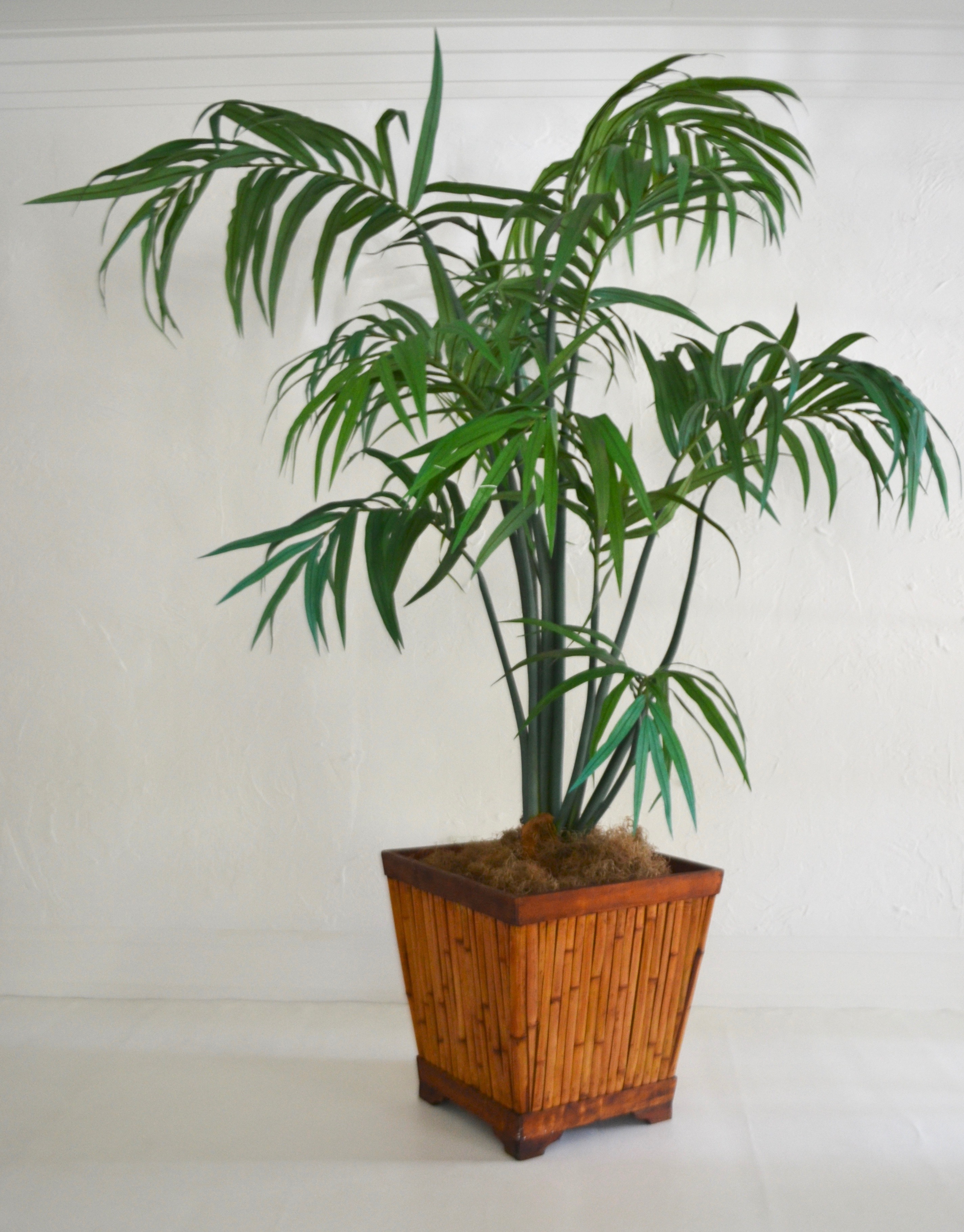 midcenturycutbambooandwoodplanterjardinierepmdgimage2.jpg